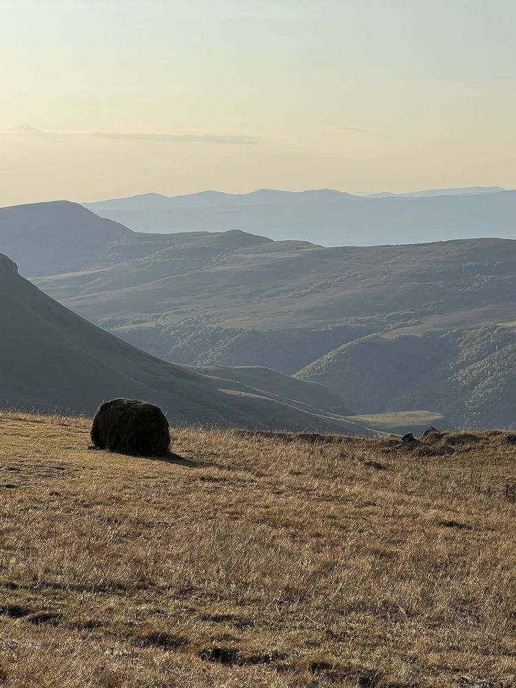 Photograph by Елена Квинт