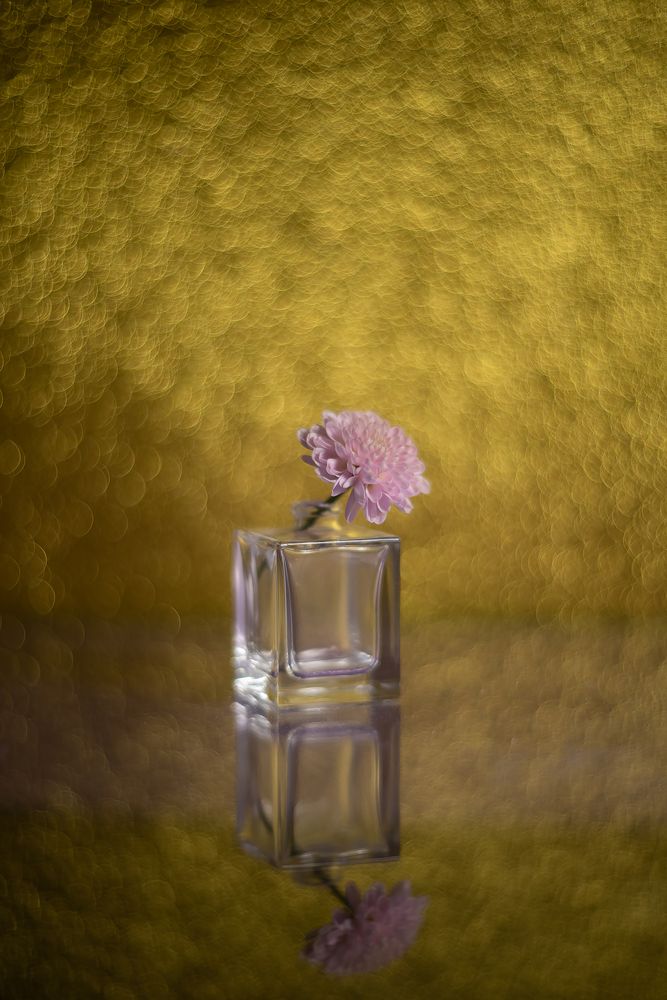 Photograph by Бакбак Тата