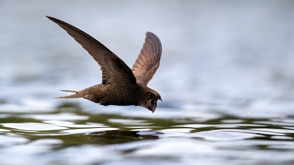 Photograph by Калинин Михаил