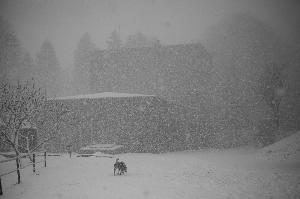 Photograph by Света Вирбицкас