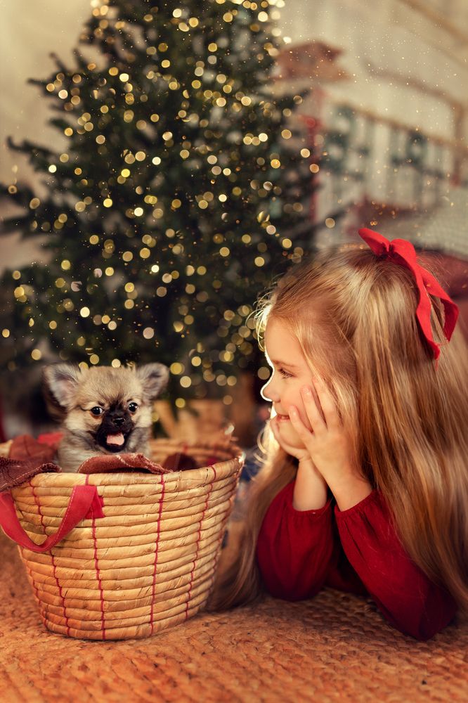 Photograph by Татьяна Шурнова