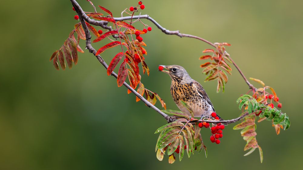 Photograph by Калинин Михаил