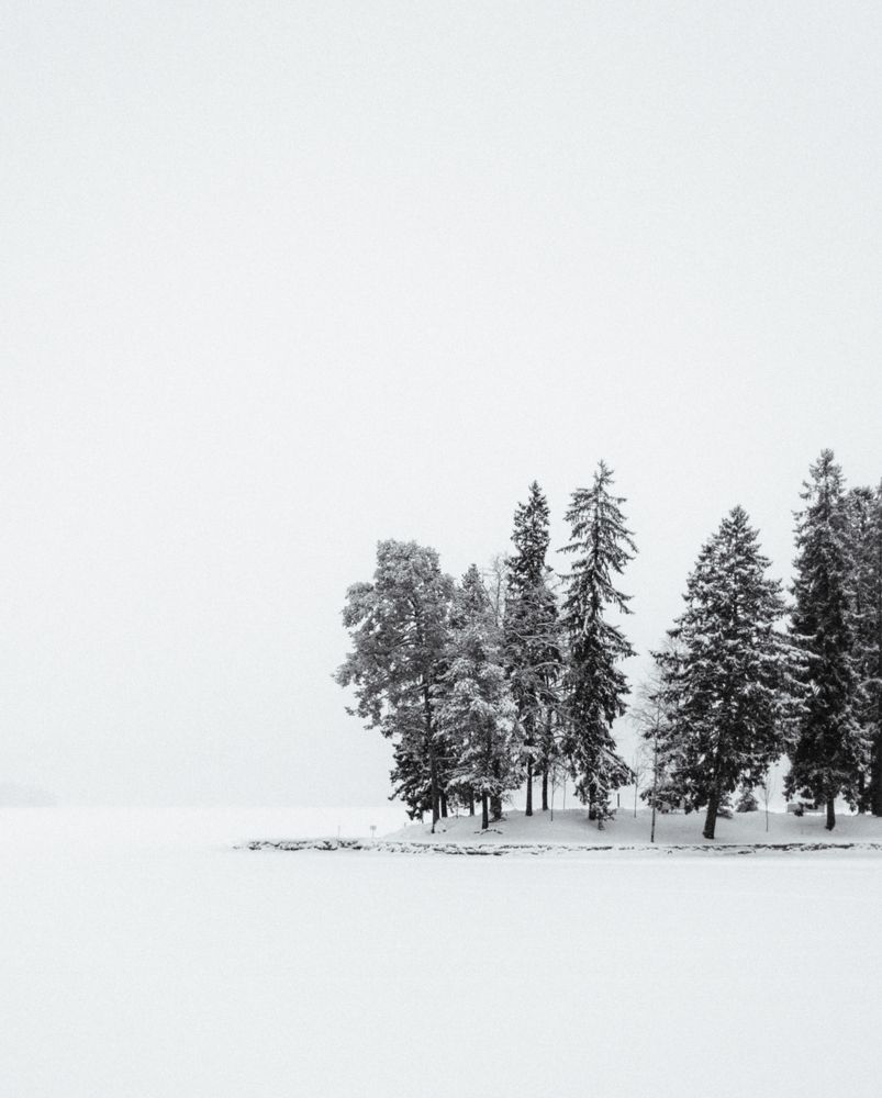 Photograph by Света Богданова