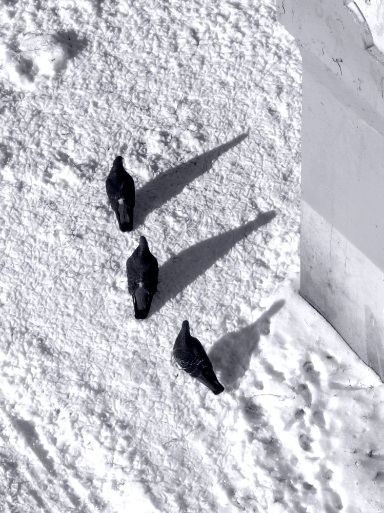 Photograph by София Стрыгина