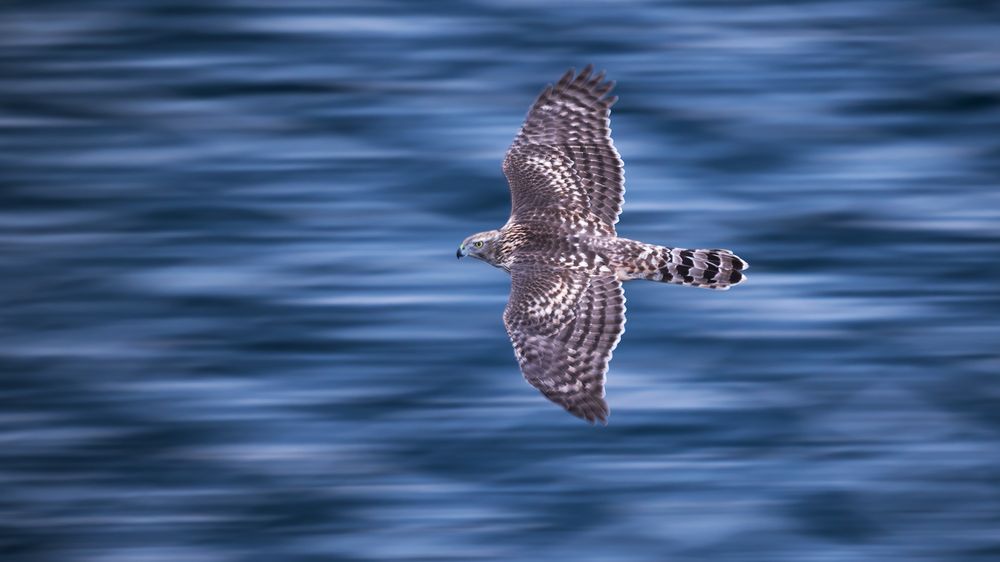 Photograph by Калинин Михаил