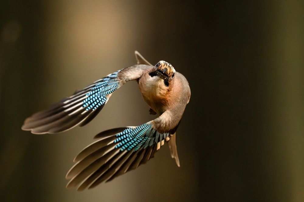 Photograph by Калинин Михаил