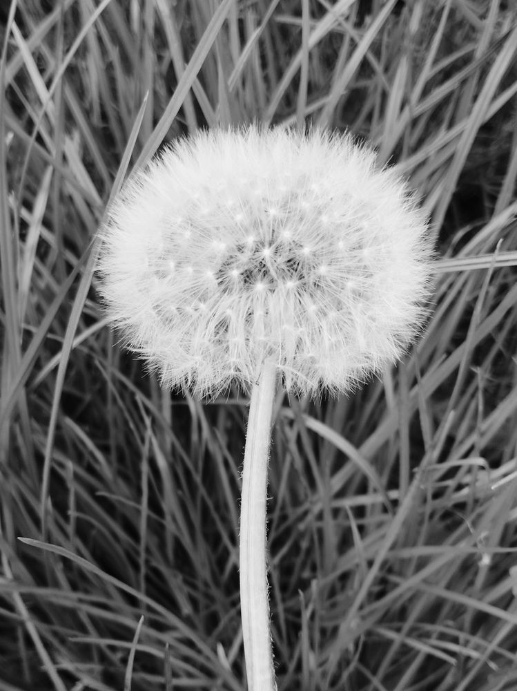 Photograph by Ия Дирко