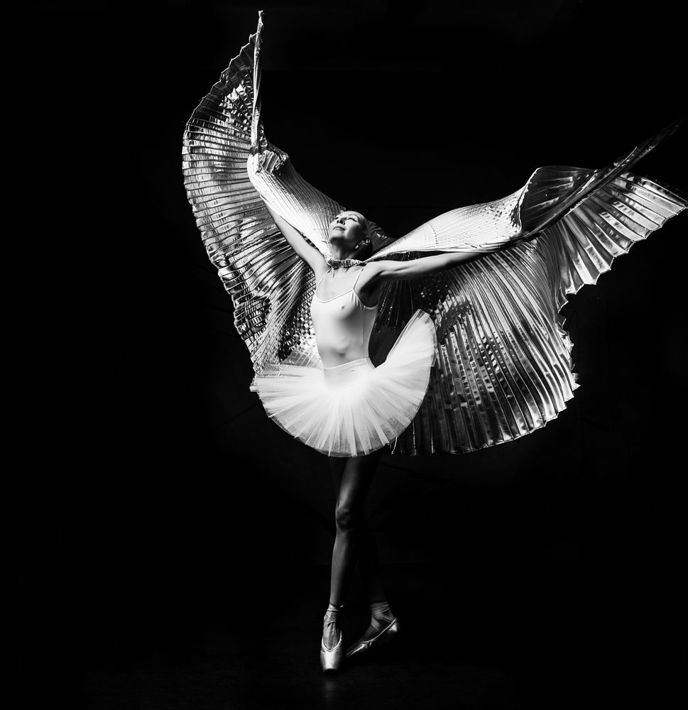 Черный лебедь