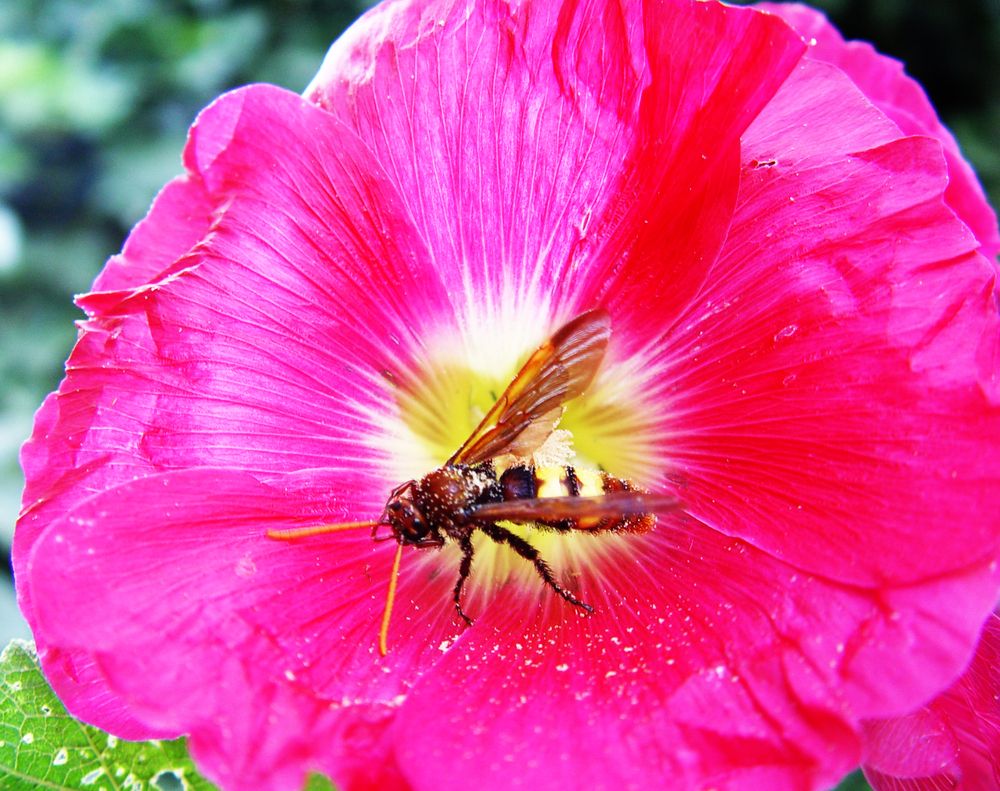 Photograph by Владимир Ким