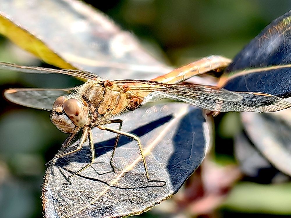 Photograph by OLGA MIKHNEVICH