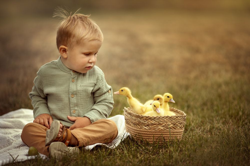 Photograph by Татьяна Шурнова