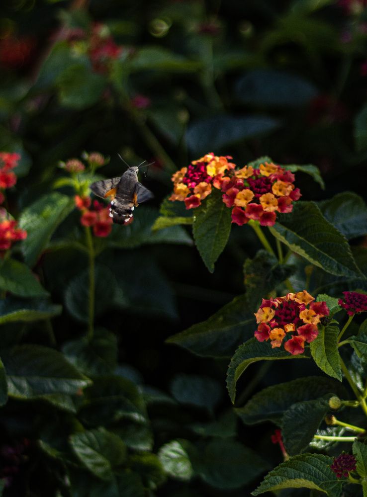 Photograph by Ксения Золотарь