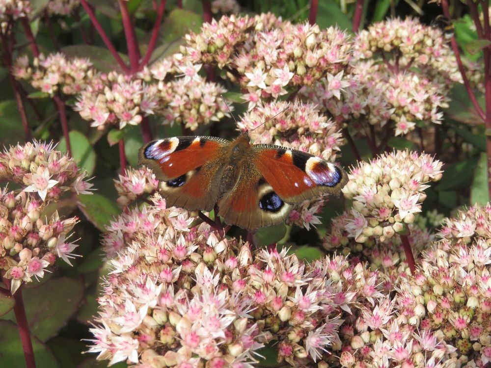 Photograph by Валерия Яскович