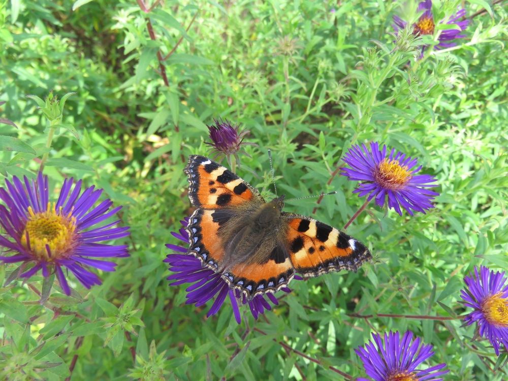 Photograph by Валерия Яскович