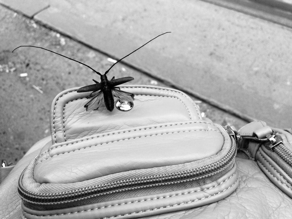 Посидим вместе!