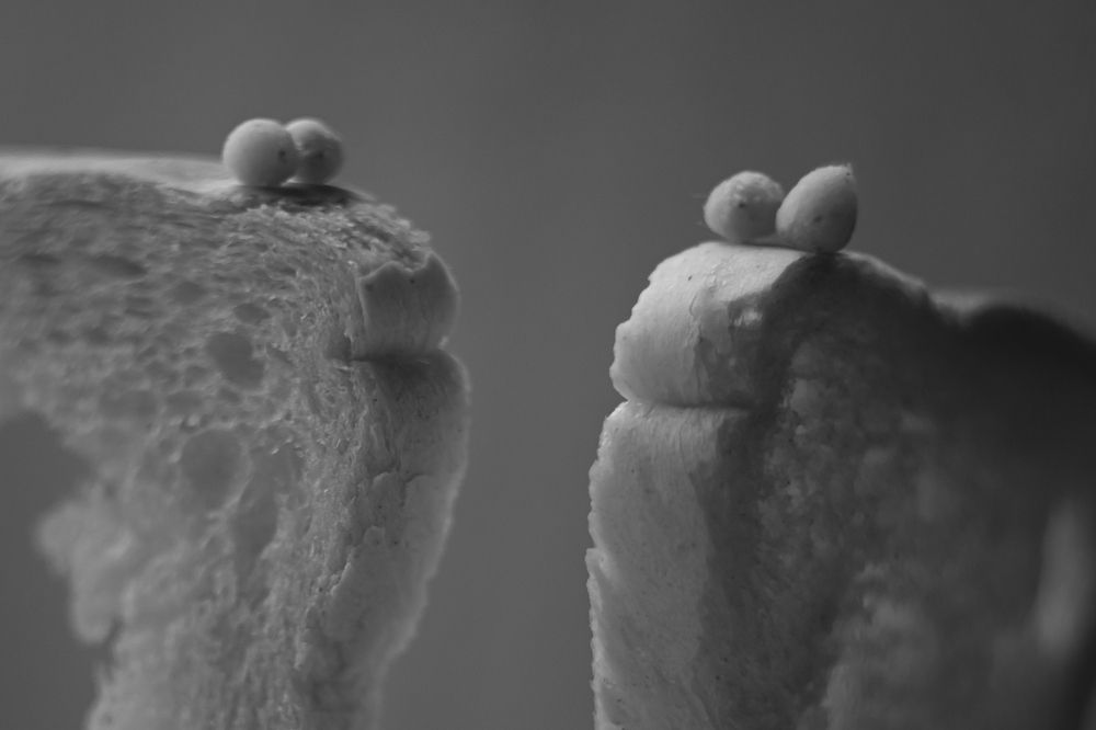 Диалог о любви