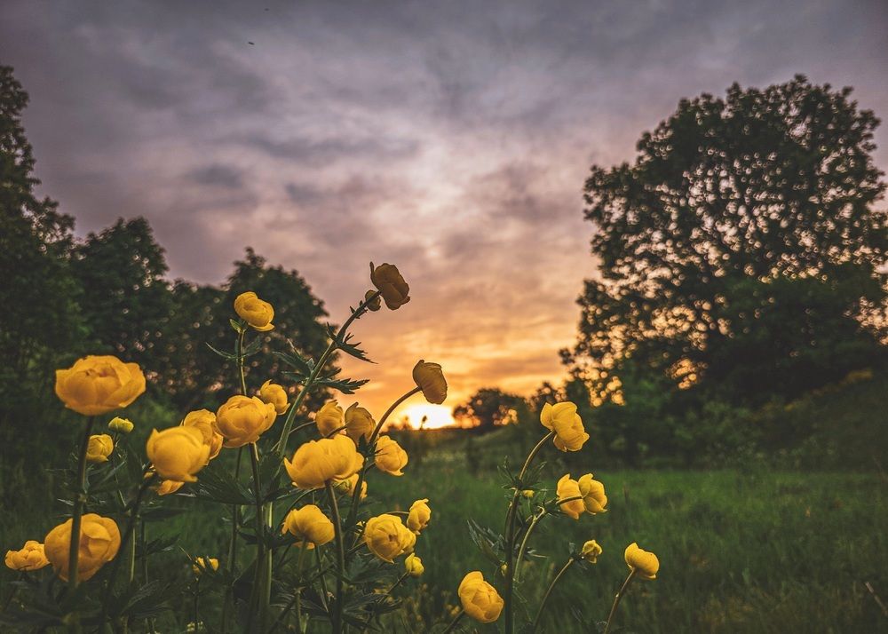 Photograph by Кирилл Сидоров