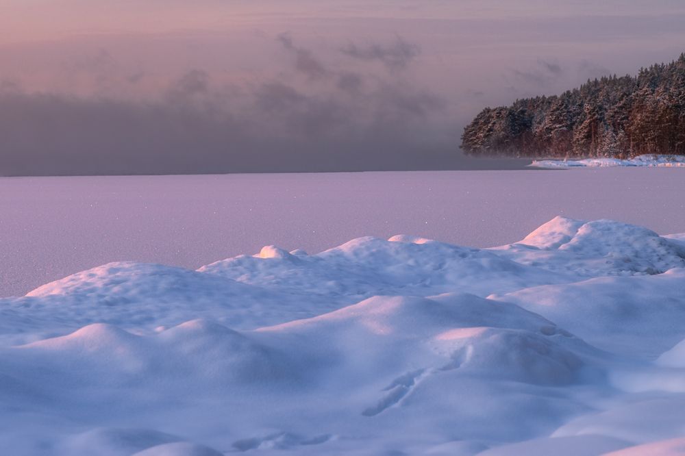 Photograph by Елена Амозова