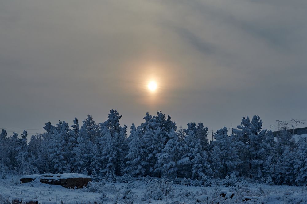 Photograph by Сергей Анисимов