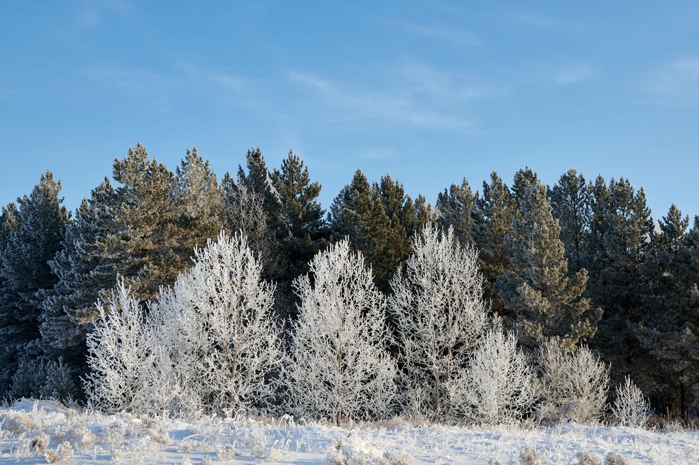 Photograph by Сергей Анисимов