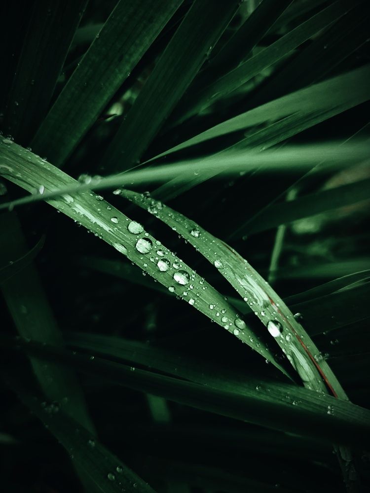 Photograph by Ирина Половцева