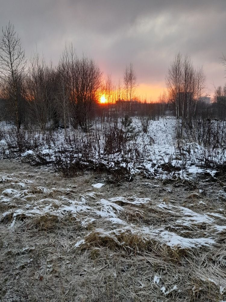 Фотография автора Ольга