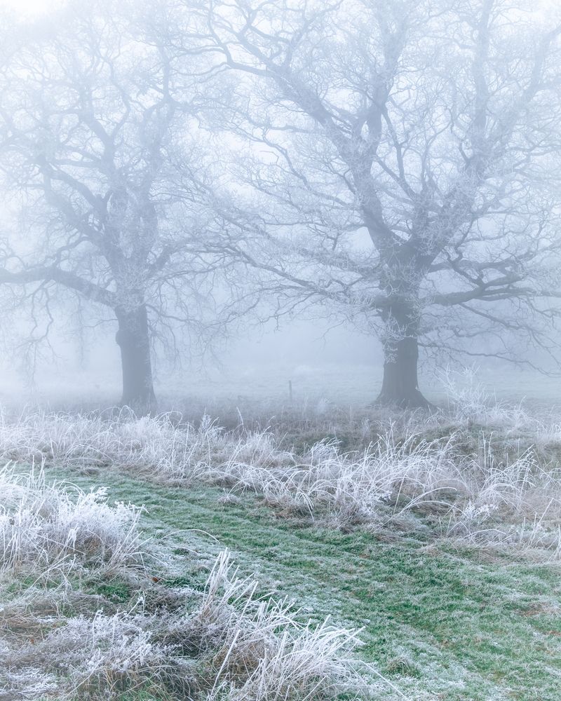 Фотография автора Aleksej Surguciov