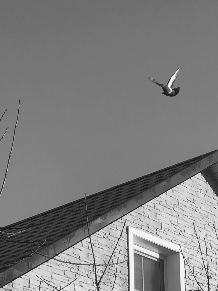 Photograph by Светлана Долганова