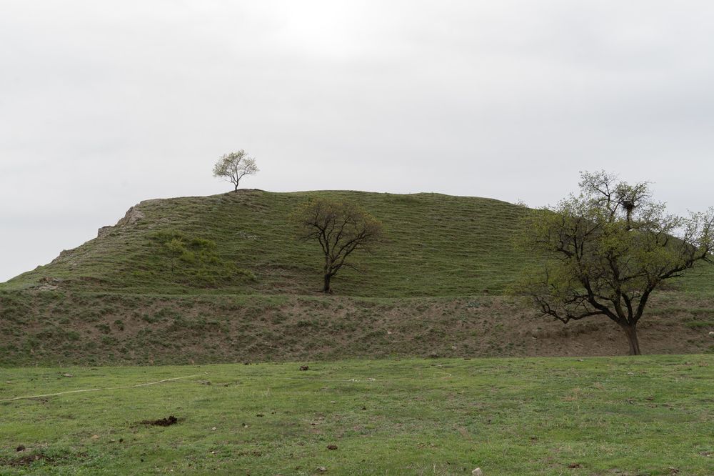 Photograph by Ковригина Евгения