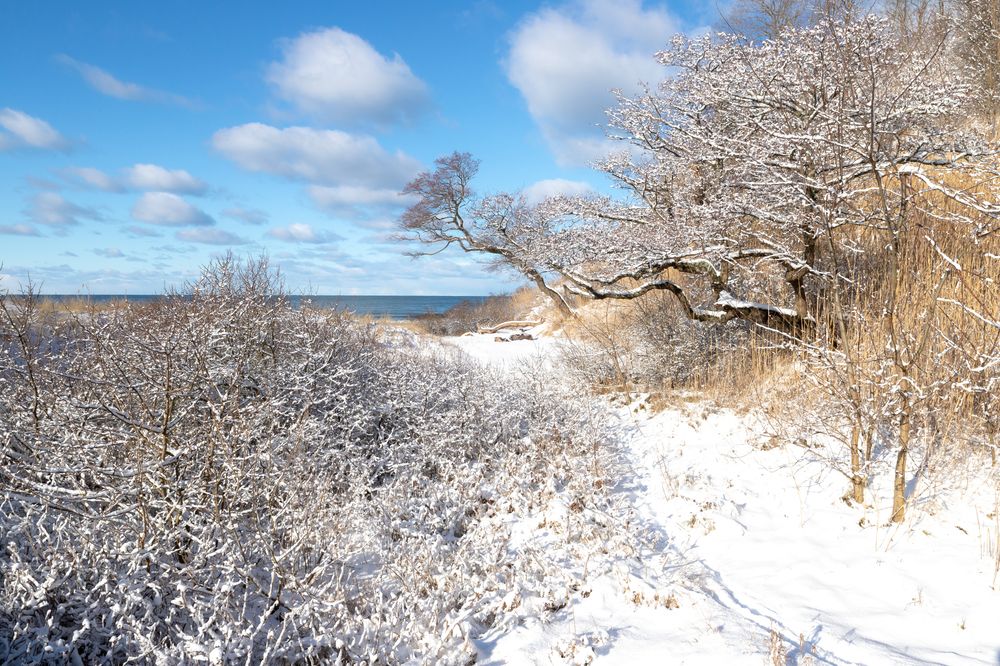 Photograph by Константин Чижов