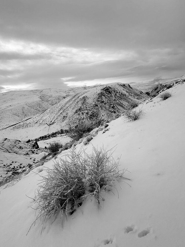 Photograph by Лариса Кошеляевская