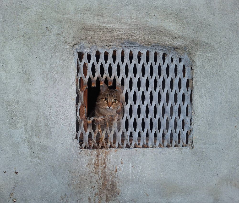 Photograph by Ирина Саттарова