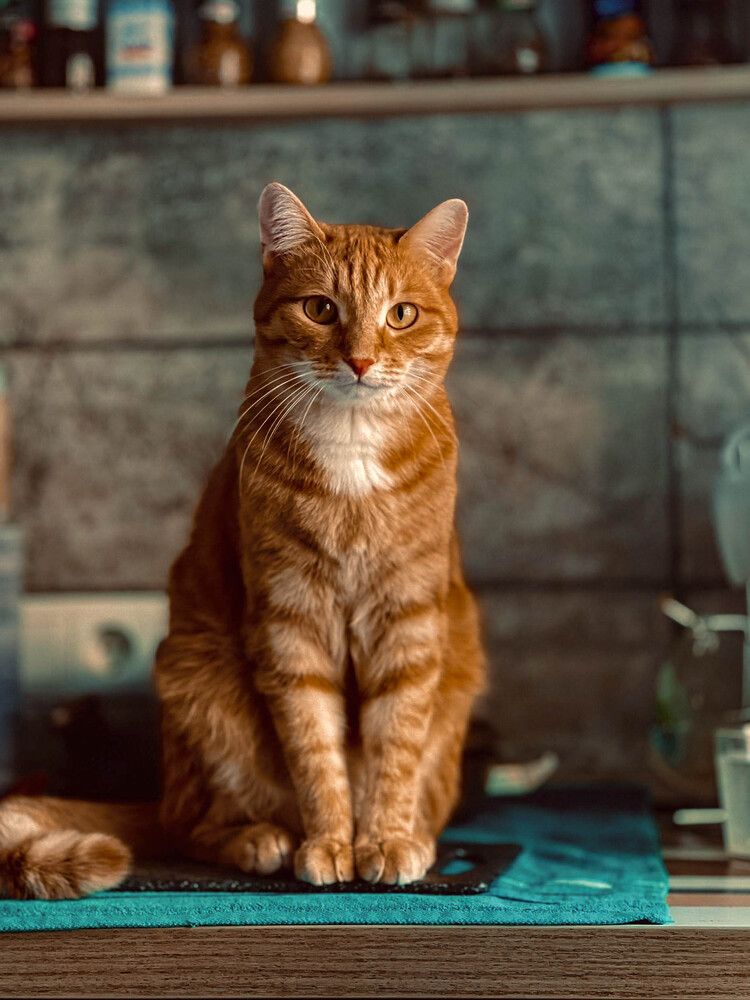 Photograph by Евгений Авдеев