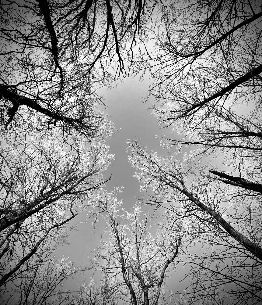 Photograph by Татьяна Мустафина