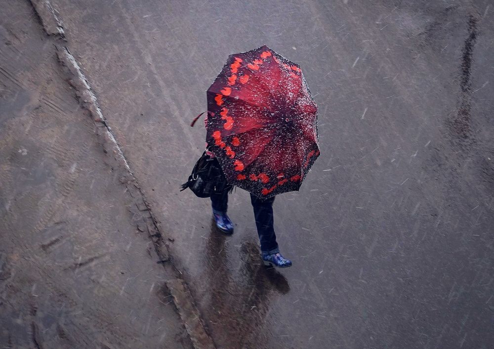 Навстречу ветру