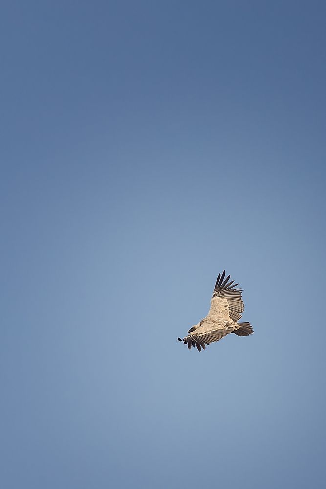 Photograph by Nikitina Yuliya