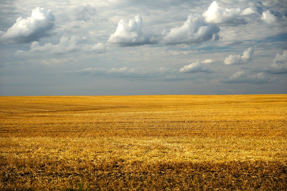 Photograph by Инесса Абрамова