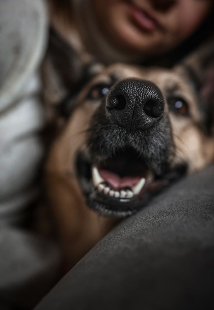 Photograph by Марина Иванова