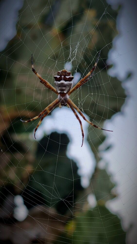 Photograph by Gr Marie