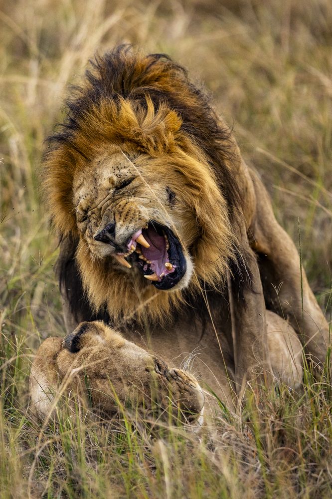 Photograph by Sai Kiran Bhagavatula