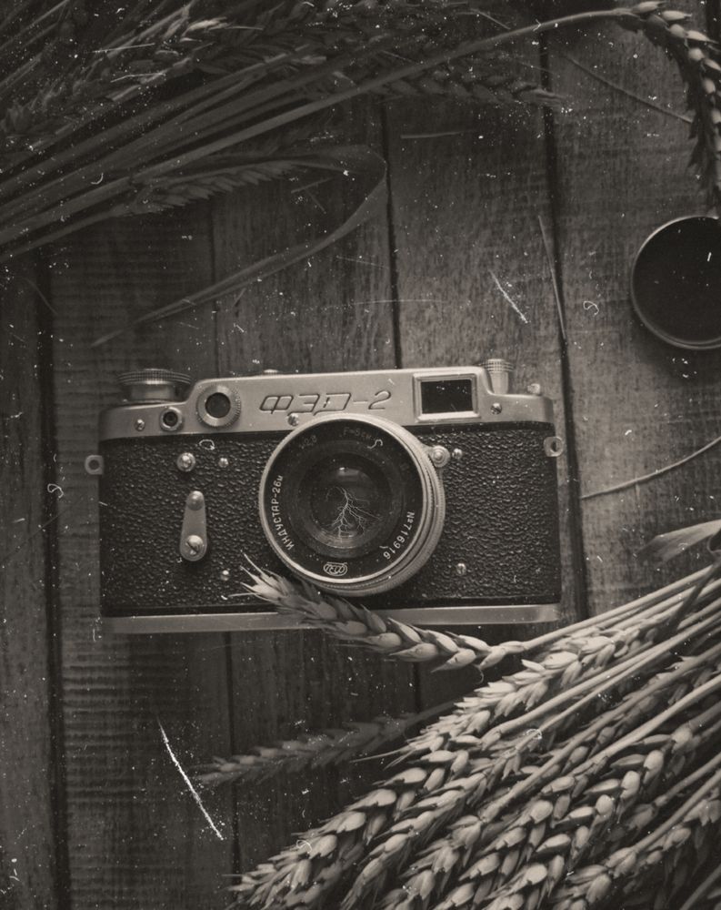 Photograph by АЛЛА ТАРАСЕНКО