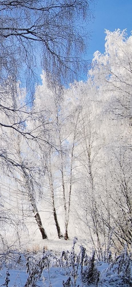 Photograph by Игорь Кошмяков