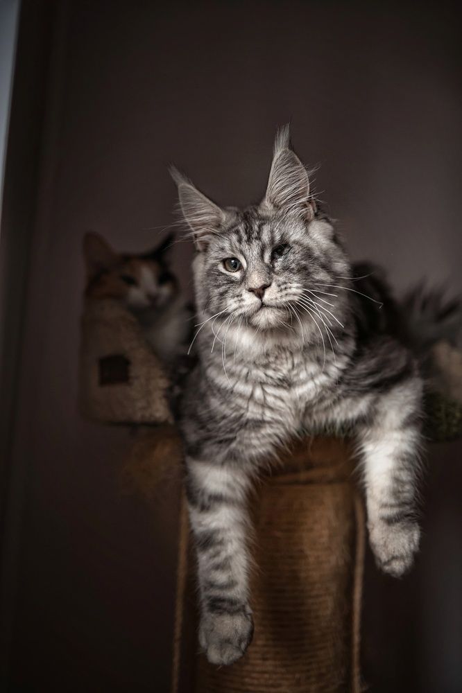 Photograph by Марина Иванова