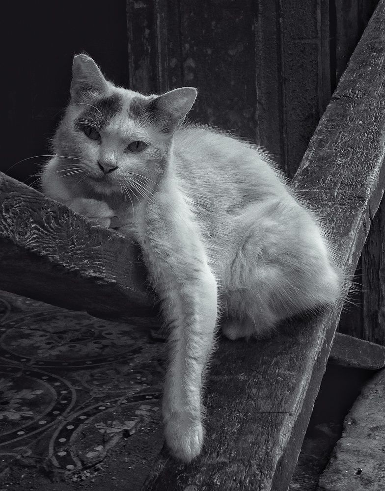 Photograph by Andrea Mariño