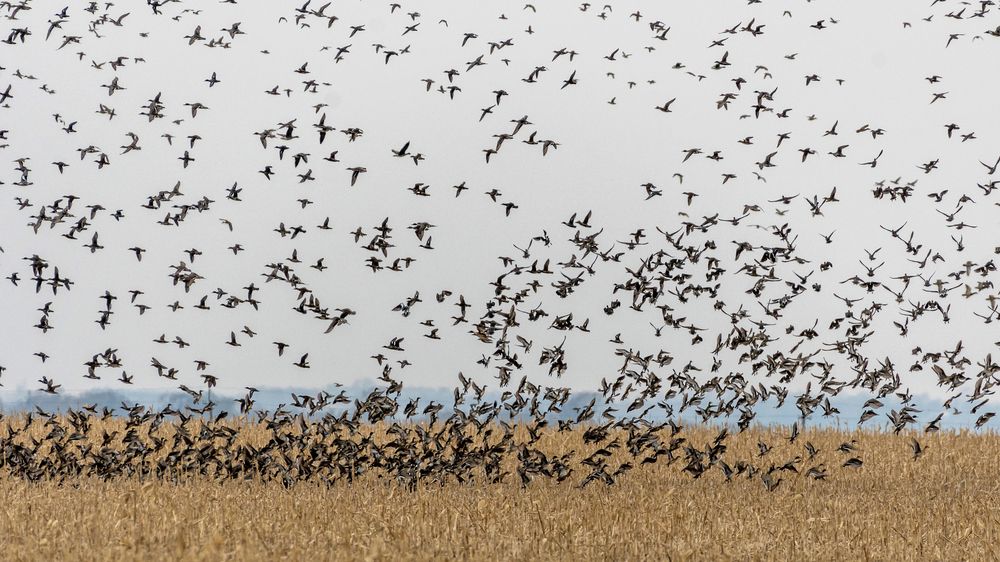 Photograph by константин