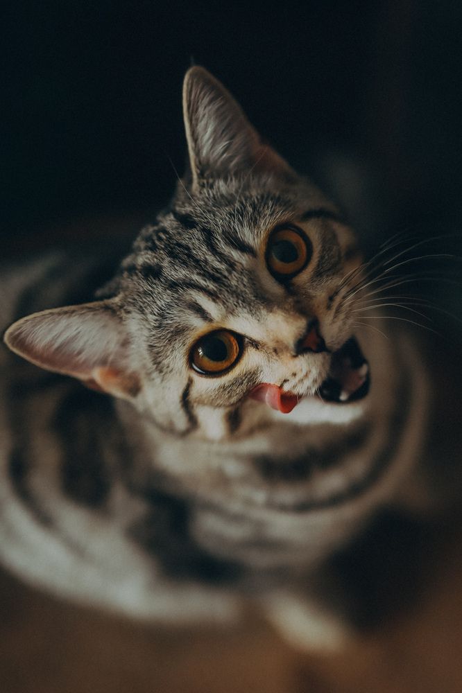 Photograph by Анна Балова