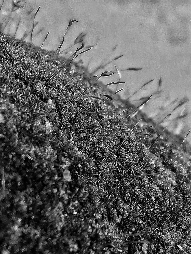 Photograph by Andrea Mariño