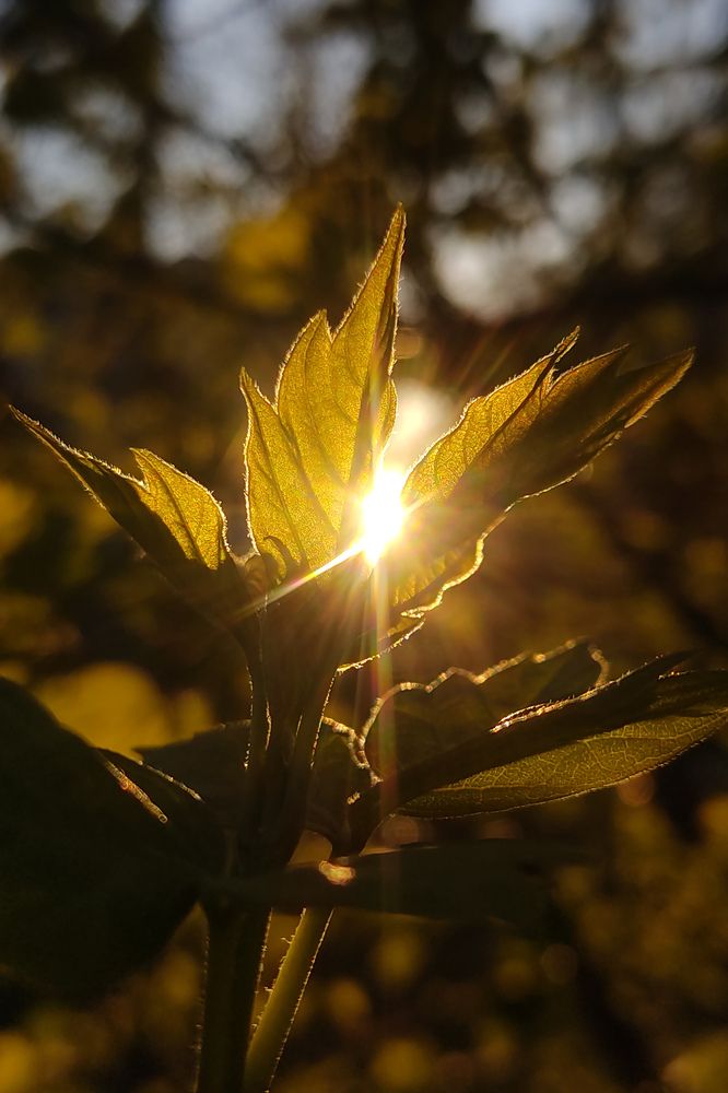 Фотография автора Мария Александрова