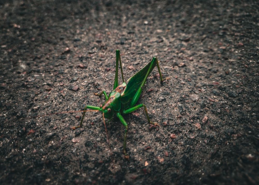 Photograph by Софья Титова