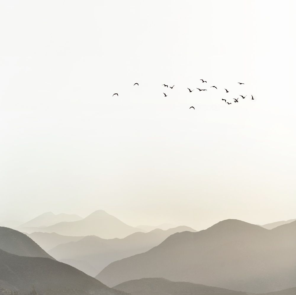 Photograph by Eduardo Modolo